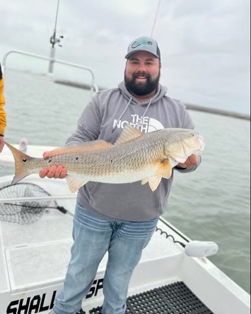 Bay Adventure- 23' Parker