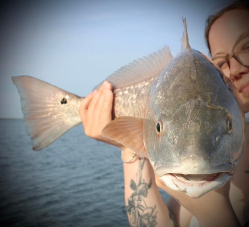 Bay Adventure- 23' Parker