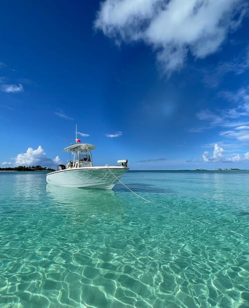 Charleston Jetty Trip