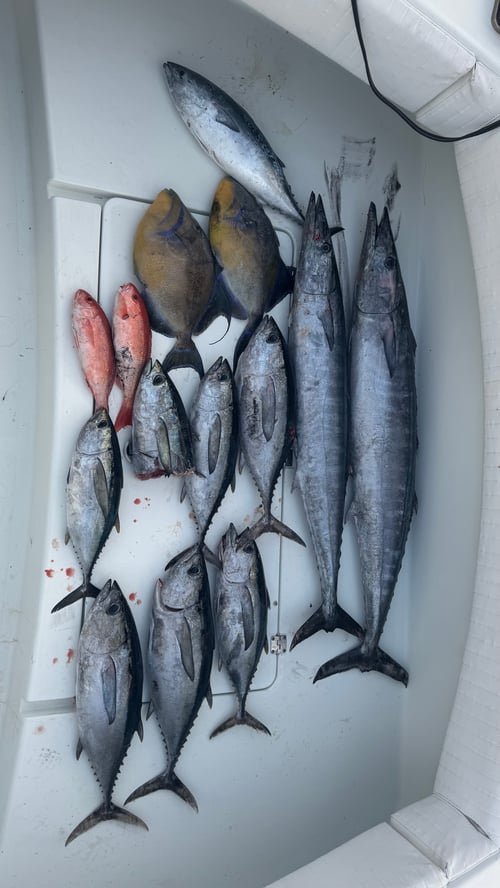 Offshore Trolling