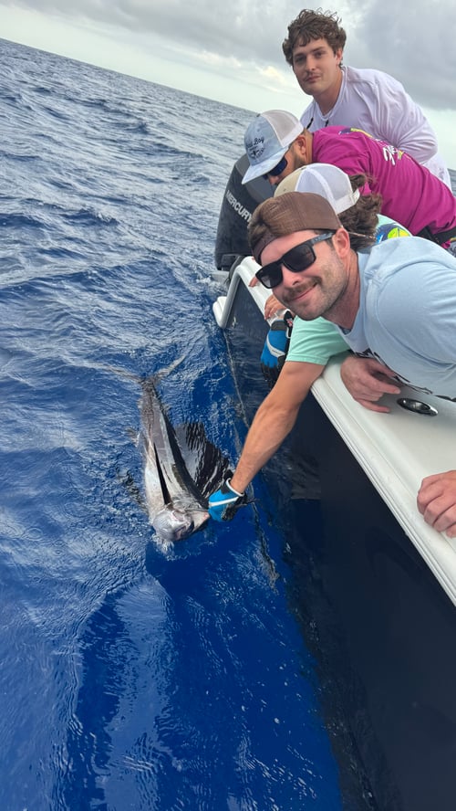 Offshore Trolling