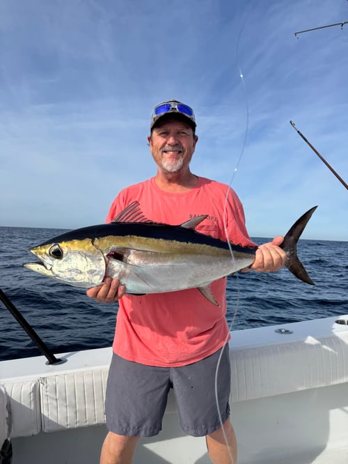 Offshore Trolling
