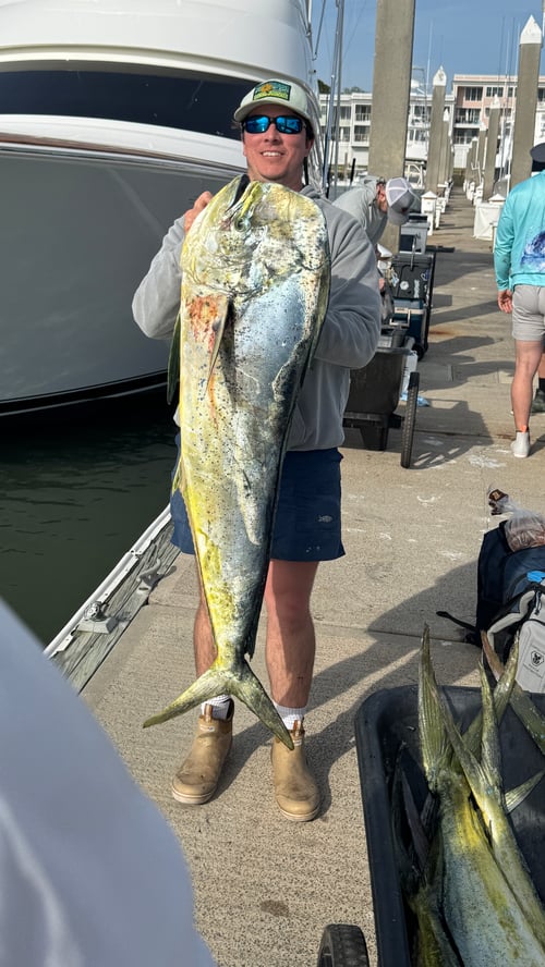 Offshore Trolling And Wrecks