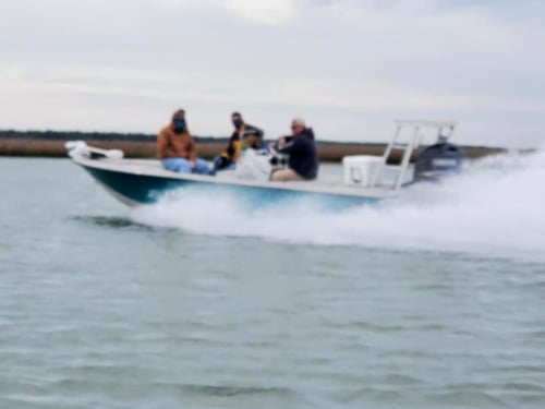 Seasonal Inshore Action