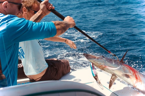 Deep Sea Grocery Store