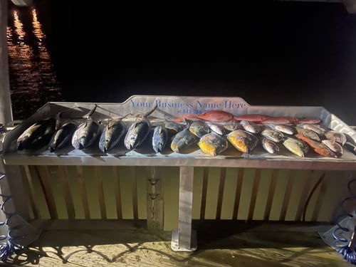 8 Hour Blackfin Tuna