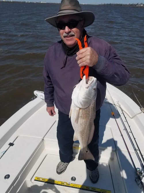 Overnight Calcasieu Lake Slam