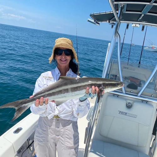 Cobia Fishing in Jacksonville, Florida