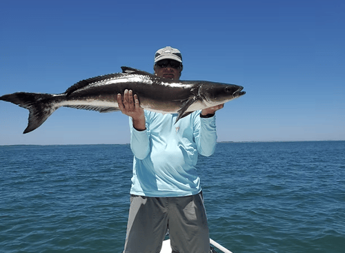 Jacksonville Sight Casting