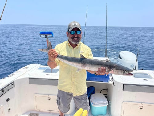 Kingfish Fishing in Freeport, Texas