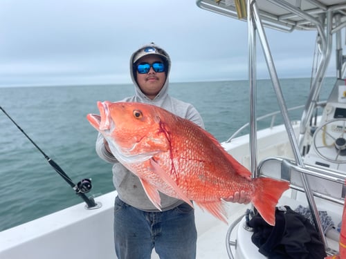 Red Snapper Fishing in Freeport, Texas
