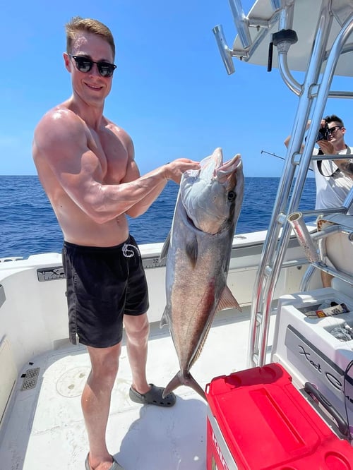 Ultimate Offshore Adventure