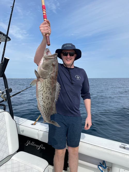 Gag Grouper Fishing in Destin, Florida
