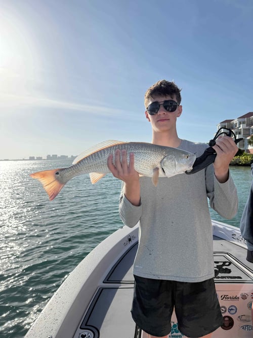 Chasing Monsters -  24’ Pathfinder