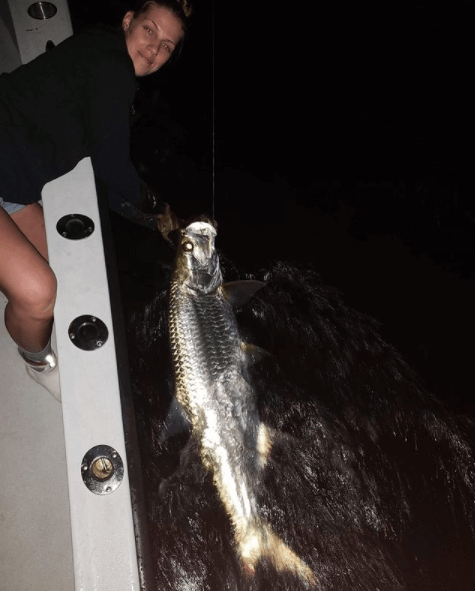 Tarpon Fishing in Miami Beach, Florida