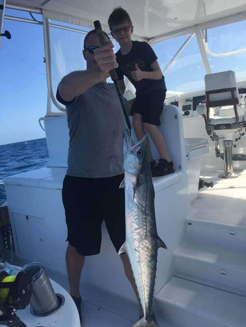 Kingfish Fishing in Key Largo, Florida
