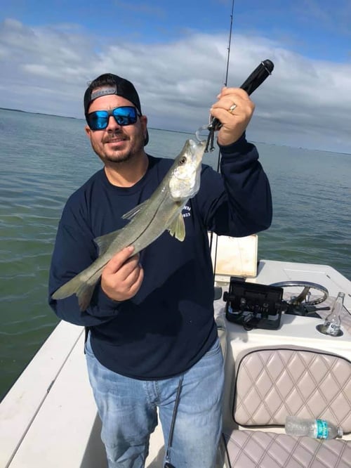 Snook Fishing in Key Largo, Florida