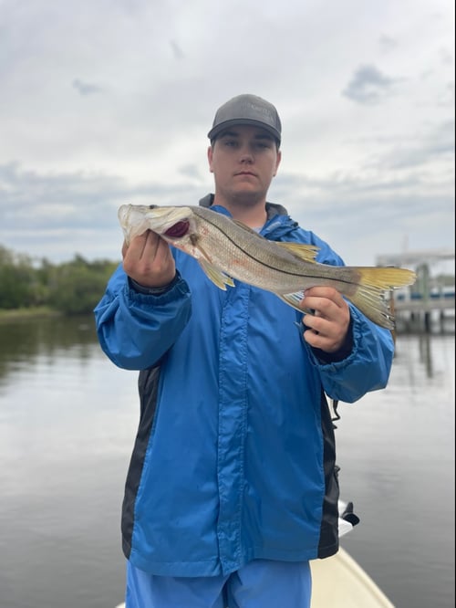 NE Florida Flats and Reefs