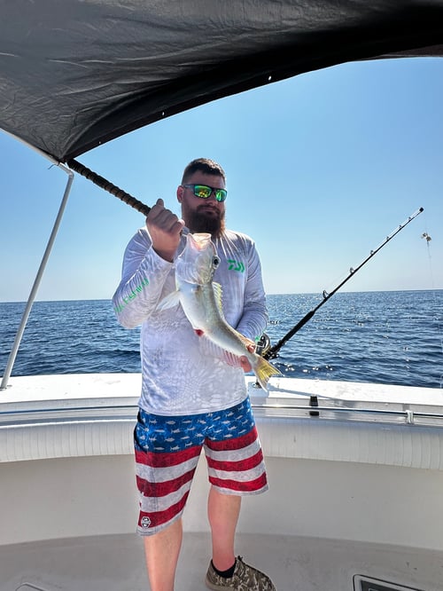 Chasing Lunkers Offshore Trip