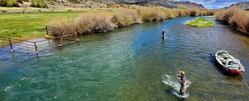 Montana River Fly Trip