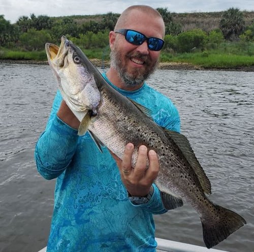 Speckled Trout Fishing in Jacksonville, Florida