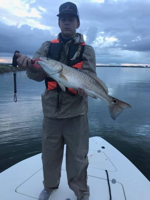 GalvestonBay Fishing Speckled Trout