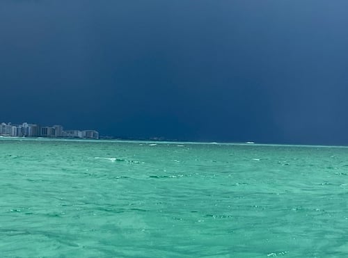 Gulf Side Nearshore Trip