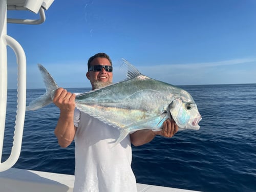 Layton Key Fishing Adventure