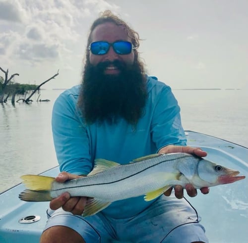 Snook Fishing in Islamorada, Florida