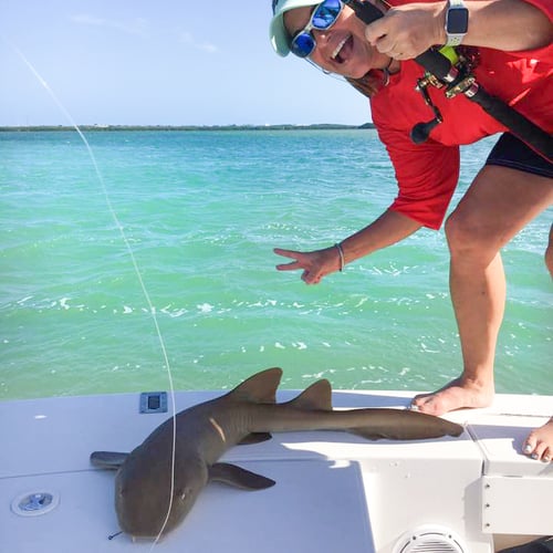 6 Hour Trip – Shark - 24’ Ranger