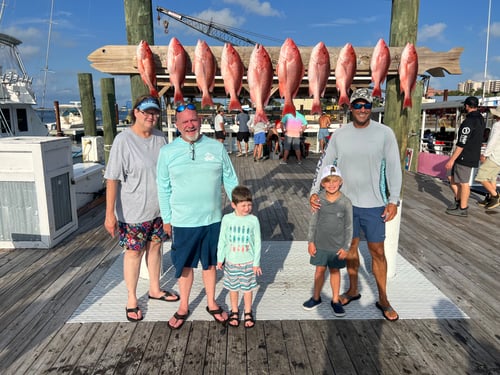 4 Hour Bottom Fishing - 38’ Custom