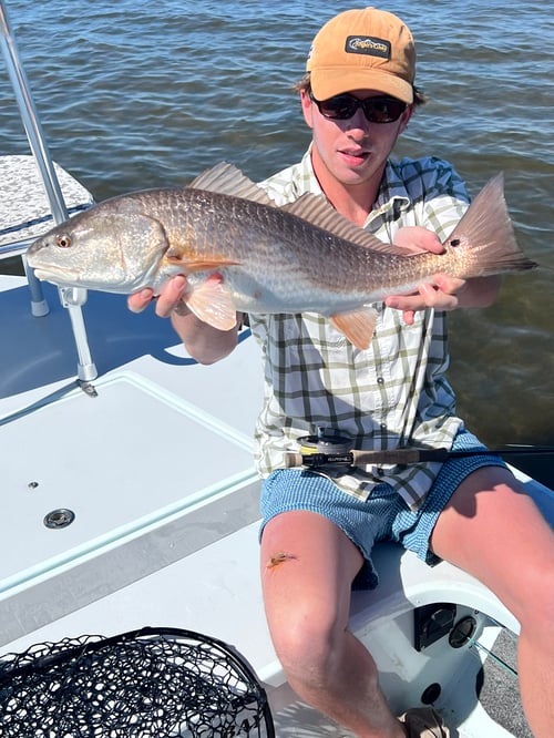 "Big Bend" Fly or Light Tackle 