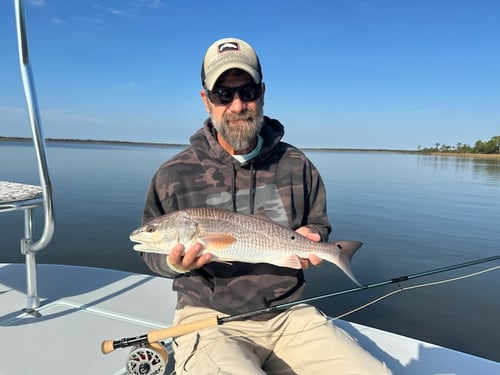"Big Bend" Fly Or Light Tackle 