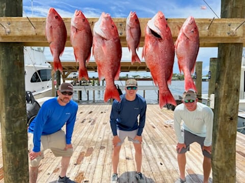 8hr bottom fishing