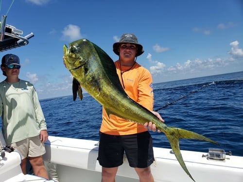 Mahi Mahi Fishing in Boothville-Venice, Louisiana
