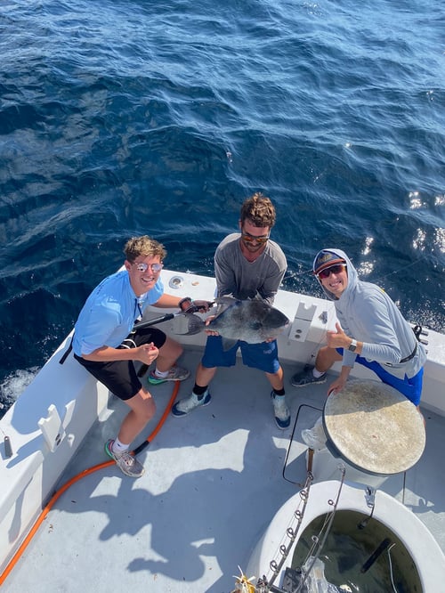 Combo Reef & Trolling Trips