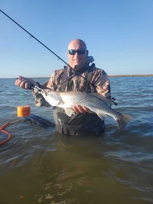 Galveston Bay Adventure Awaits