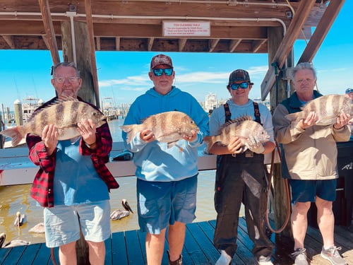 Gulf Coast Bites by the Shore