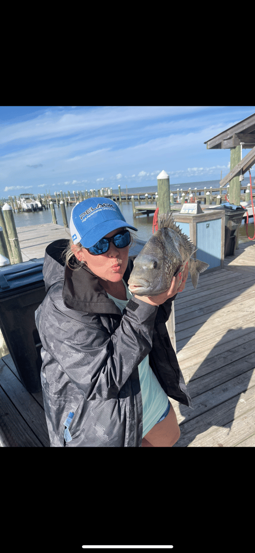 Gulf Coast Bites by the Shore