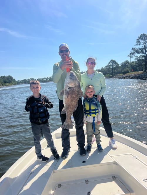 Great Gulf Bites by the Shore