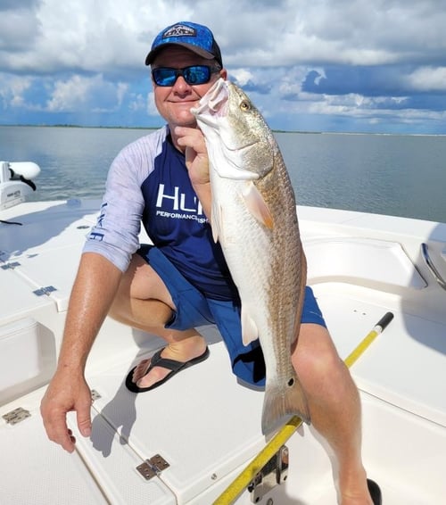 Venice Inshore Hook-Up