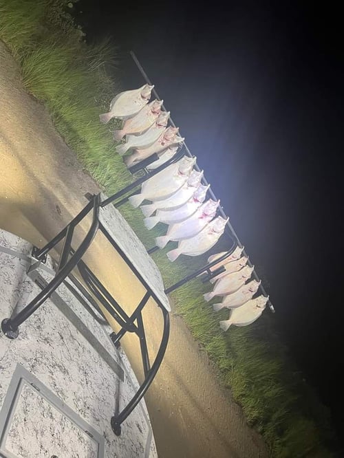 Flounder Fishing in Rio Hondo, Texas