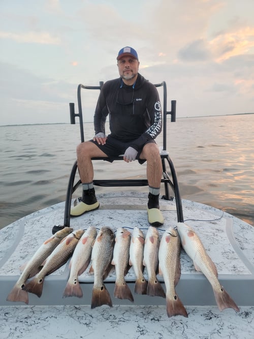 Wading the Laguna Madre