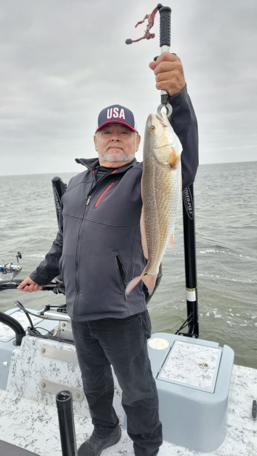 Wading the Laguna Madre