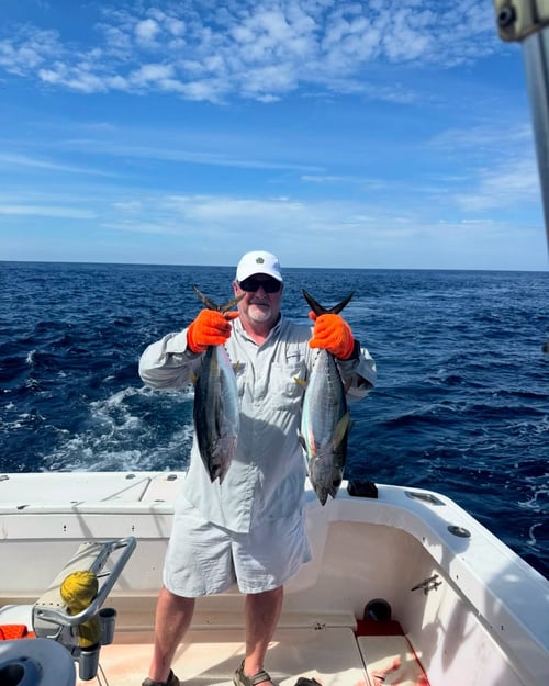 Roosterfish, Grouper, Snapper