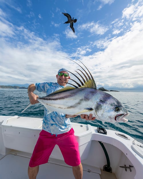 Roosterfish, Grouper, Snapper