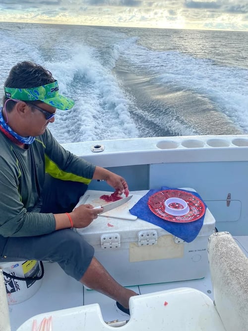 Inshore Roosterfish Special