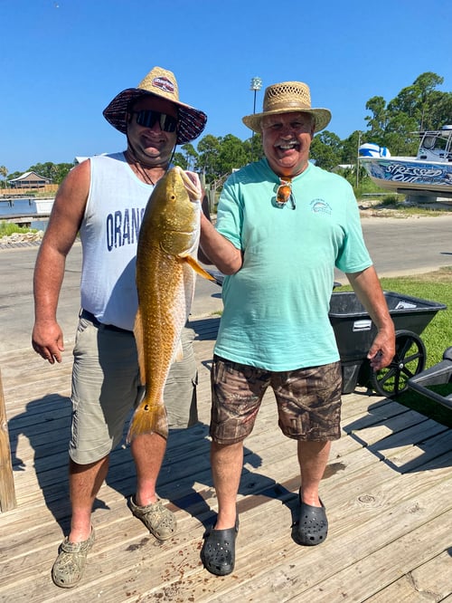 Orange Beach Quick trip