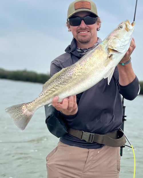 Lower Laguna Full Day Action