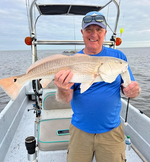 Lower Laguna Full Day Action